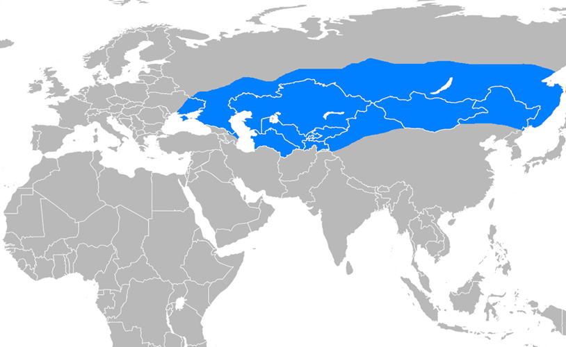 Göktürk İmparatorluğu Harita